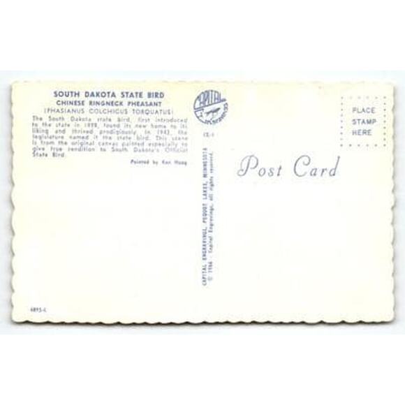 South Dakota State Bird Chinese Ringneck Pheasant Ken Haag 1966 - Picture 2 of 2